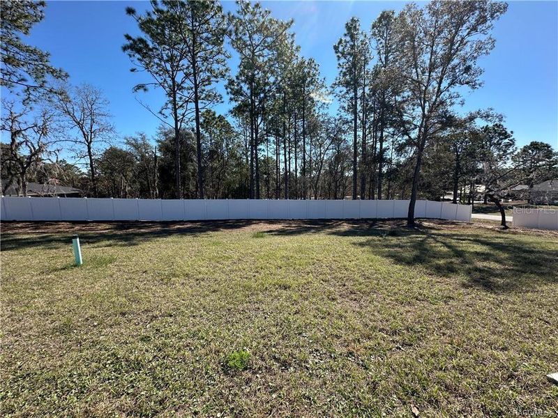 Natural landscape and outdoor views near  in Citrus Springs (Image 26).