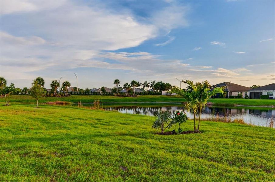 Natural landscape and outdoor views near  in Lakewood Ranch (Image 30).