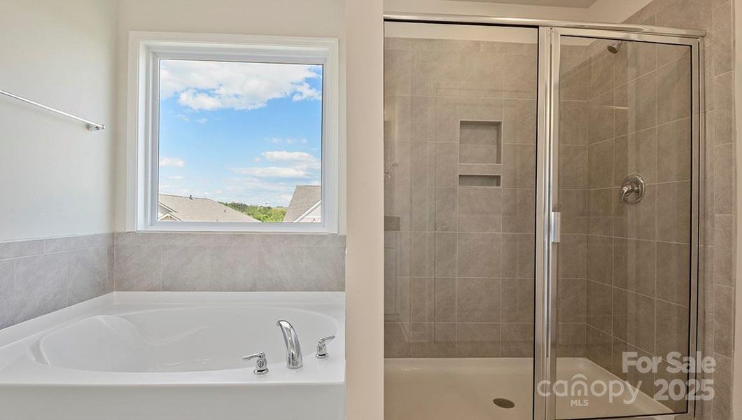 Photos are representative