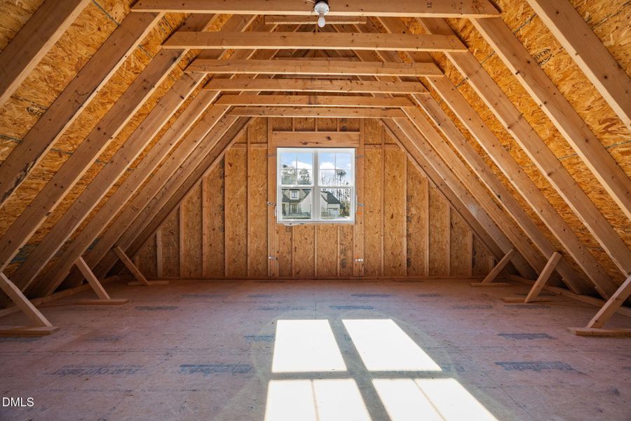 60-web-or-mls-IMG_4682