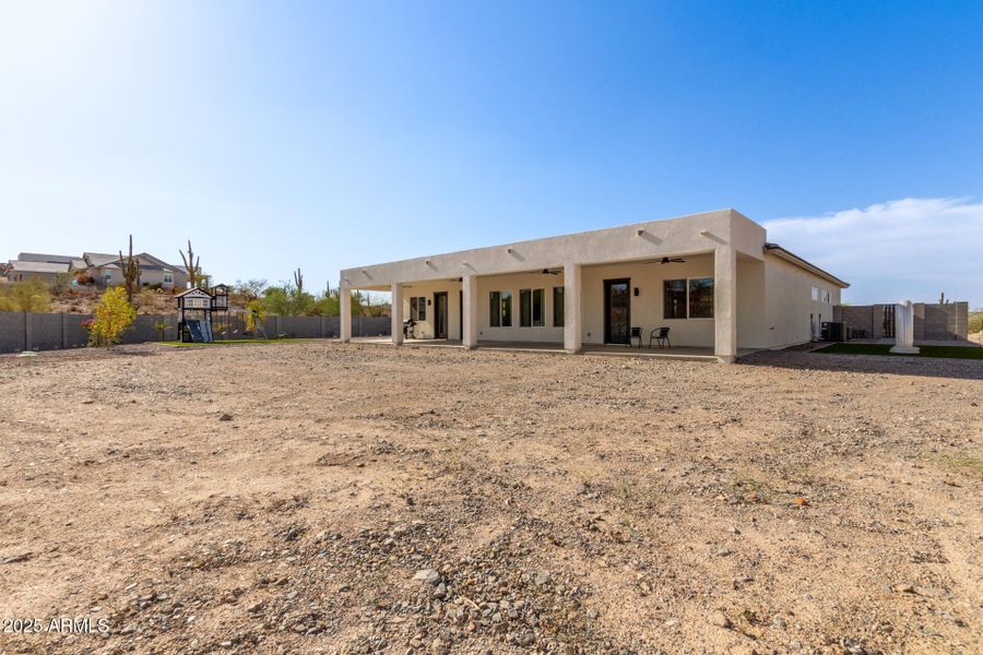 49 - Hummingbird 49 - Hummingbird