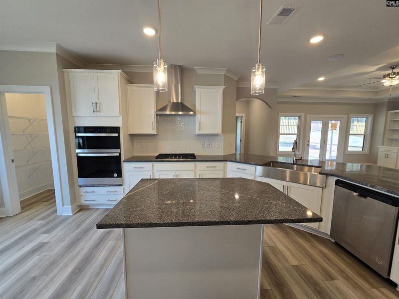 Furnished interior view inside a new home in Collins Cove, Chapin (Image 7). Furnished interior view inside a new home in Collins Cove, Chapin (Image 7).