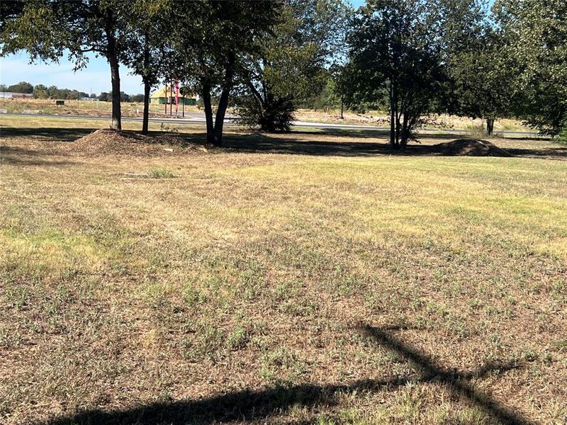 View of green lawn View of green lawn