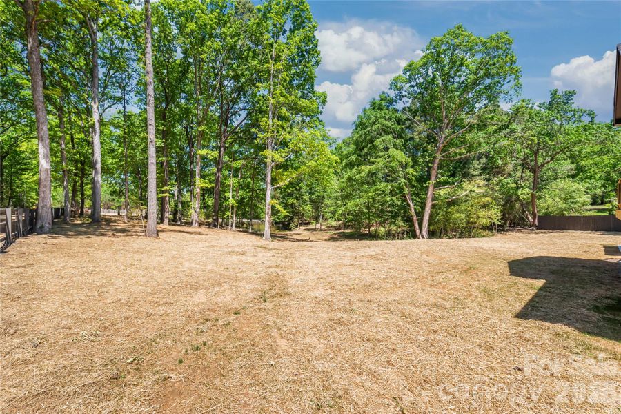 Natural landscape and outdoor views near  in Waxhaw (Image 37).