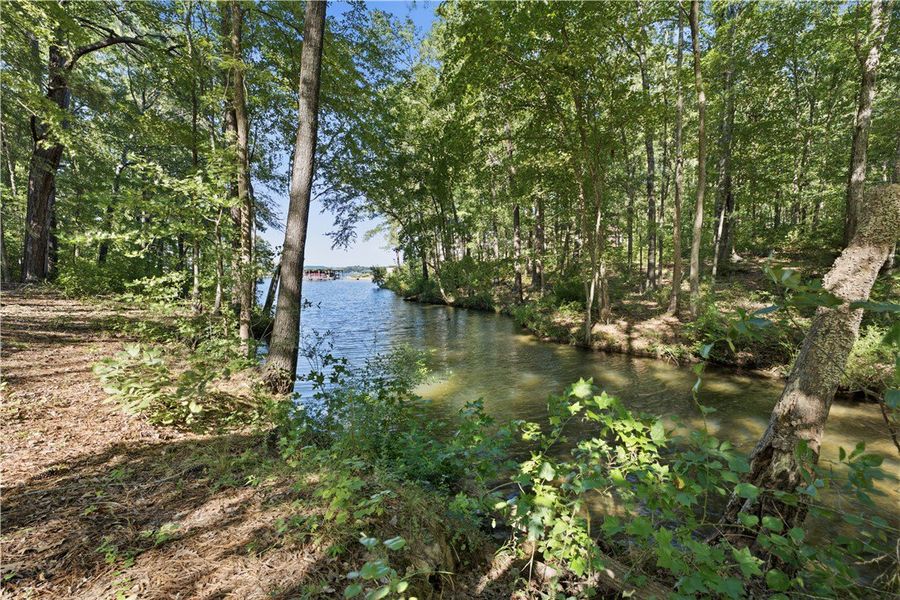 Mature trees line the gentle shoreline of this ser
