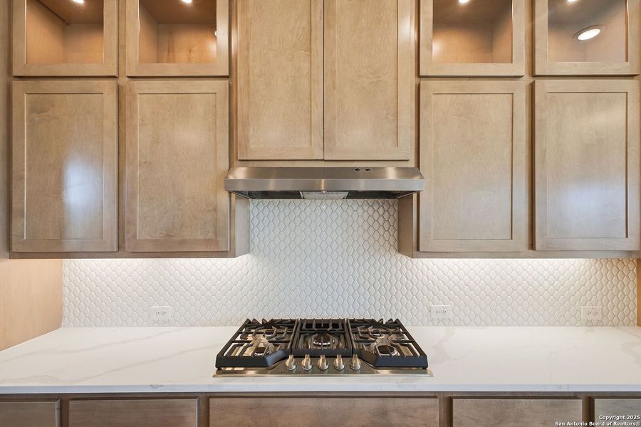 Close-up of interior finishes inside a home in Pradera Ridge, Floresville (Image 13).