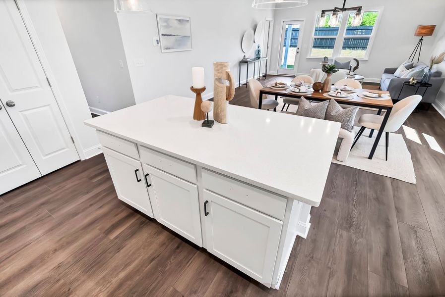 Furnished interior view inside a new home in Monroe Preserve, Chapin (Image 46).