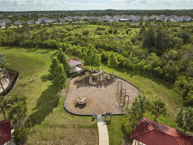 Community amenities in Westgate at Avalon Park, Wesley Chapel (Image 56).