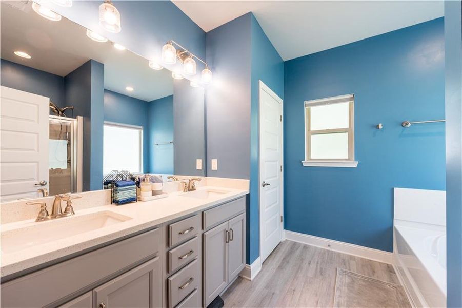 Furnished interior view inside a new home in , Maysville (Image 5).