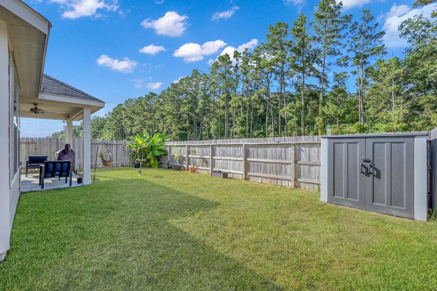 Spacious Backyard Spacious Backyard