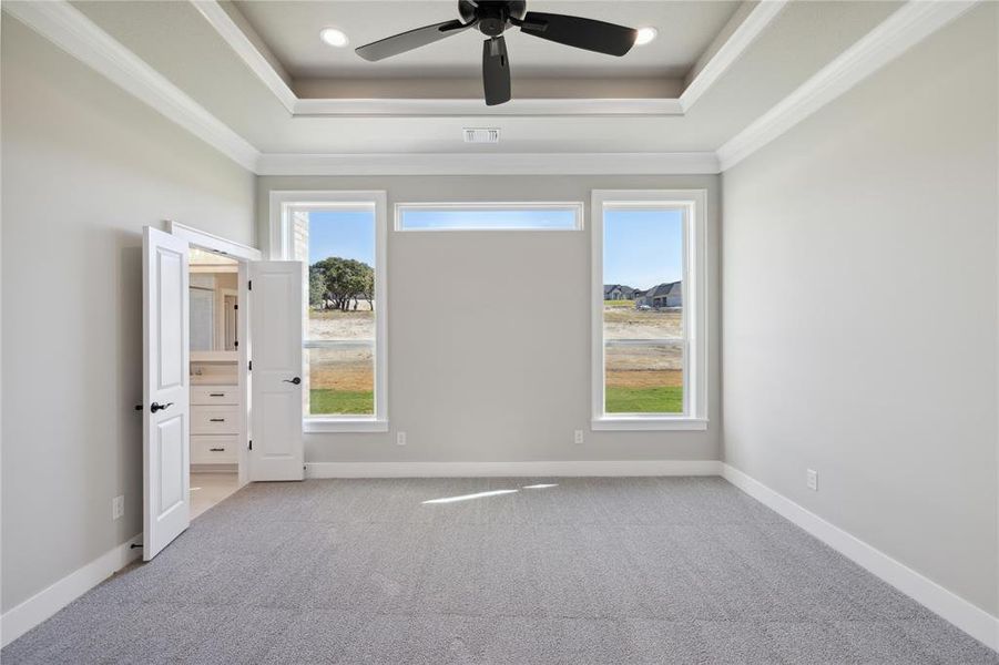 Spare room featuring ceiling fan, a tray ceiling, light carpet, and ornamental molding