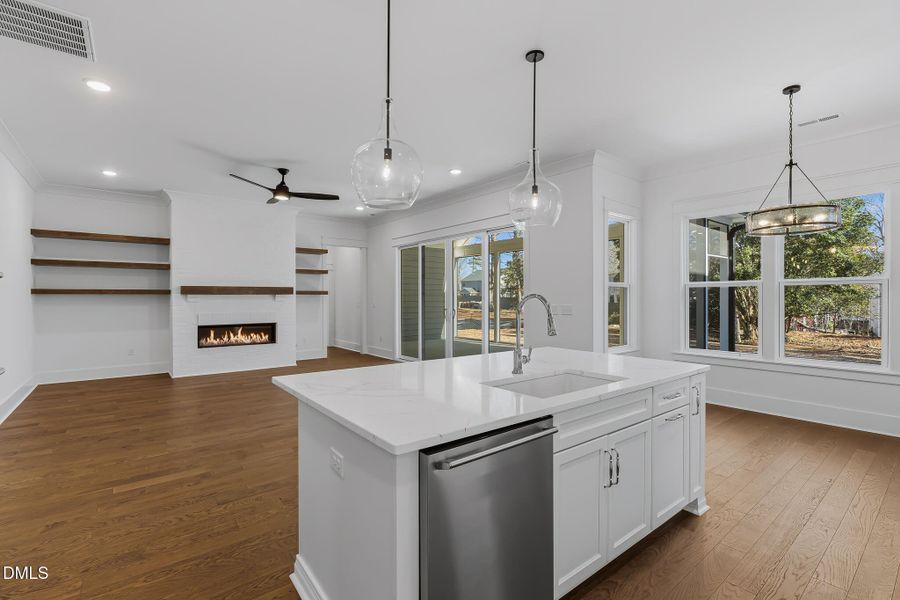 DSC02898_with_fire DSC02898_with_fire