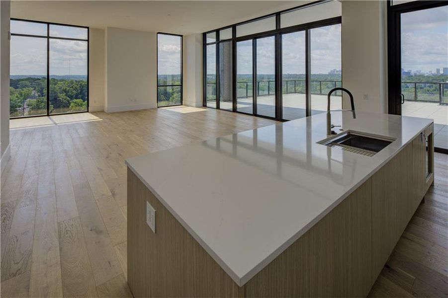 Image 19 of a home in The Dillon Buckhead.