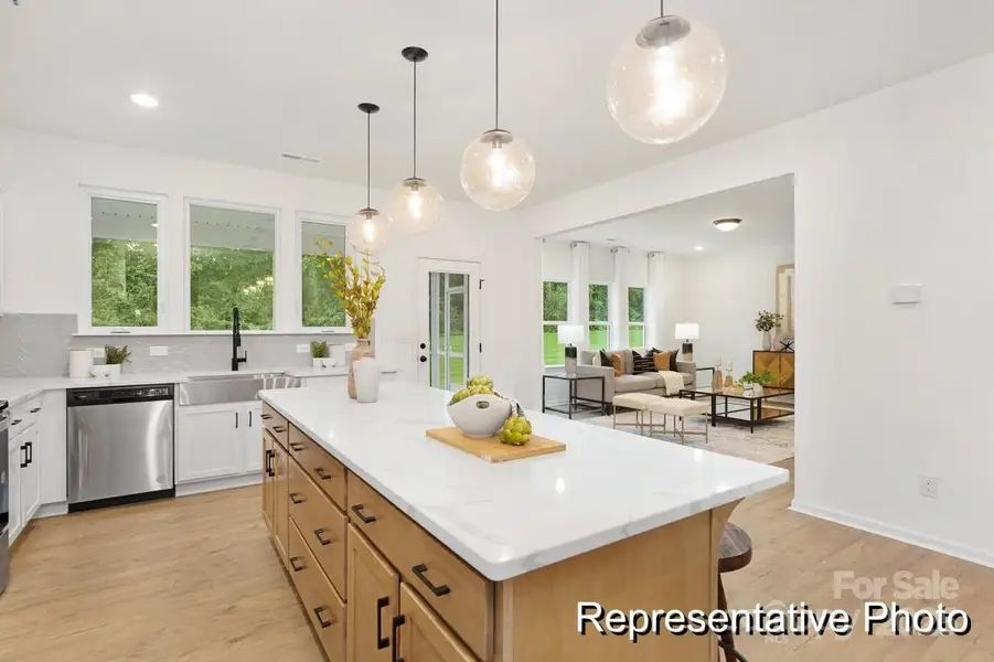 Furnished interior view inside a new home in Mooreland Oaks, Mount Holly (Image 4).