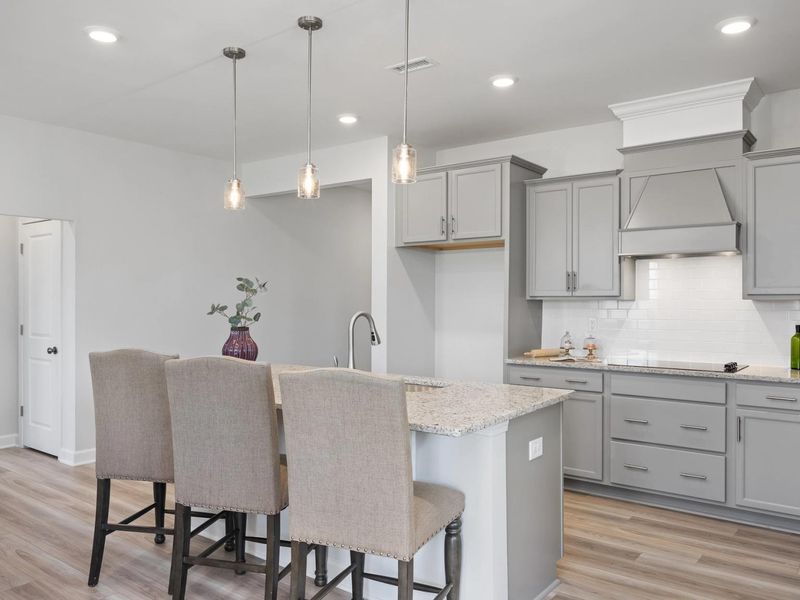 Representative furnished interior of a home built from the The Daphne C by Davidson Homes LLC in Windgate, Mooresville (Image 8).