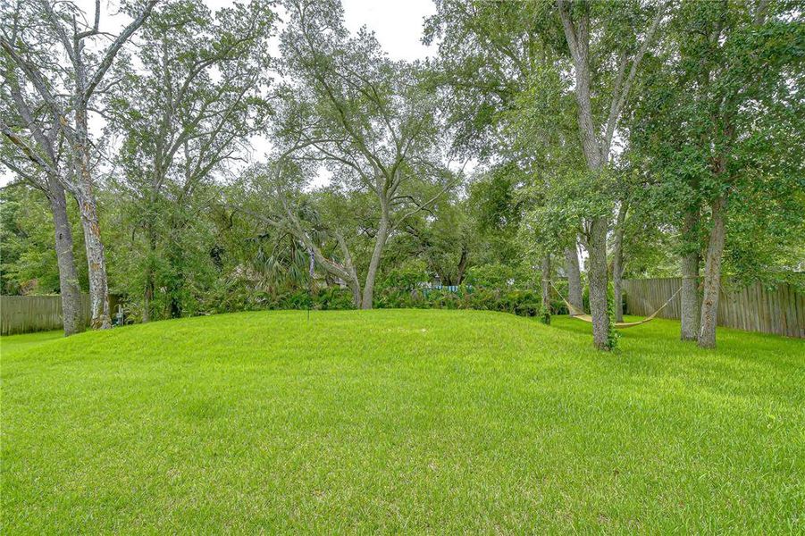 Natural landscape and outdoor views near  in Tampa (Image 49).