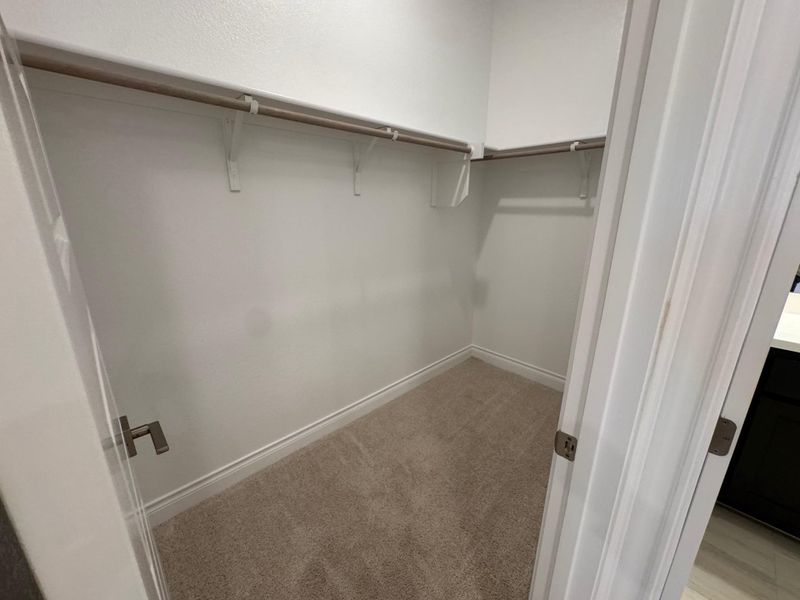 Bedroom 2 Walk in closet with light colored carpet