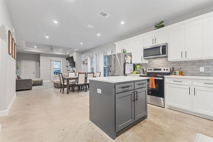 Kitchen featuring a tray ceiling, stainless steel appliances, and white cabinets