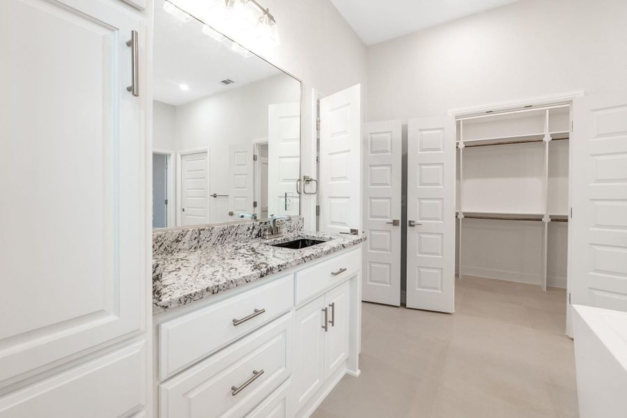 Full bathroom featuring vanity and a spacious closet