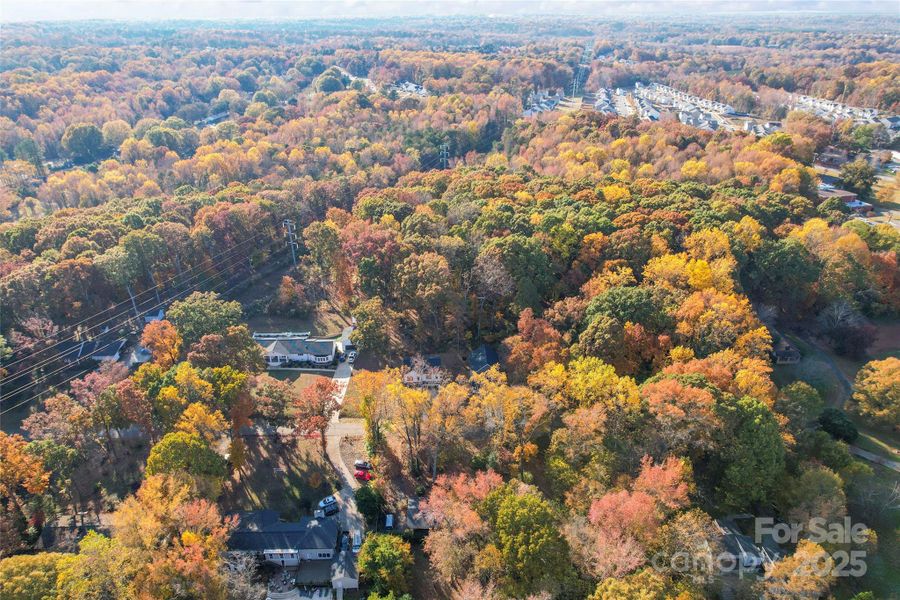 Natural landscape and outdoor views near in Charlotte (Image 45). Natural landscape and outdoor views near in Charlotte (Image 45).