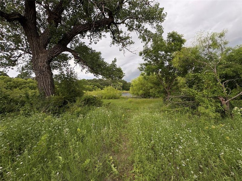 Natural landscape and outdoor views near Freeman Ranch in Weatherford (Image 17).