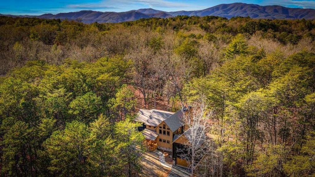 Natural landscape and outdoor views near  in McCaysville (Image 86).