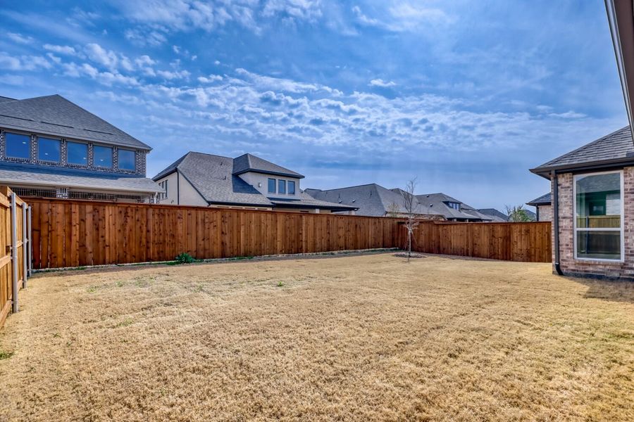 3121 Lacebark - Backyard