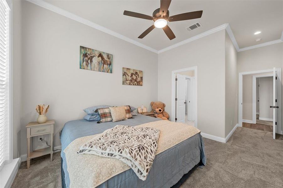 Secondary bedroom with plush carpet, ceiling fan, natural light, and a spacious closet. Secondary bedroom with plush carpet, ceiling fan, natural light, and a spacious closet.