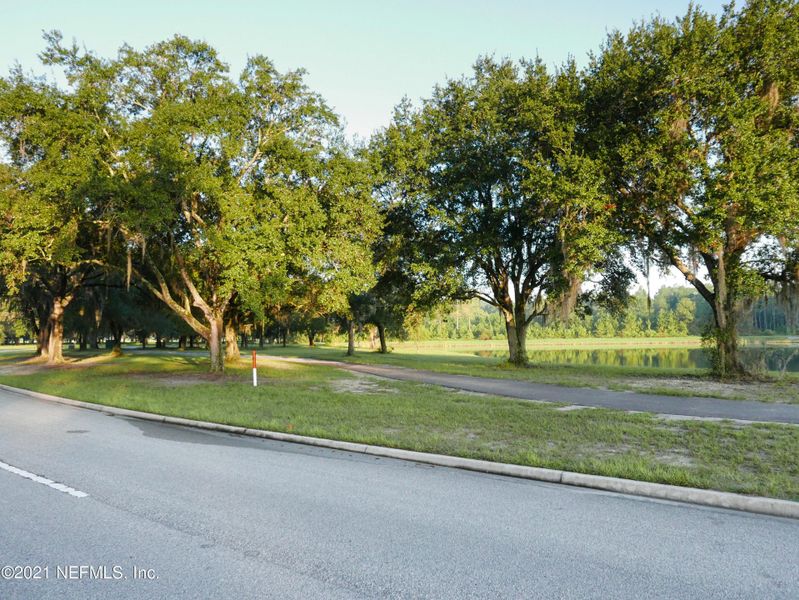 Natural landscape and outdoor views near TrailMark in St. Augustine (Image 31).