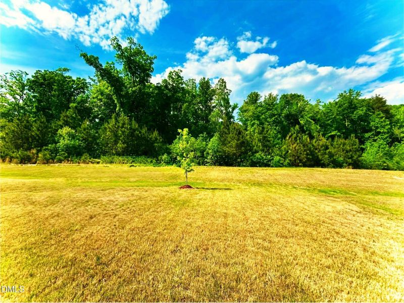 5. House backs into a wooded lot