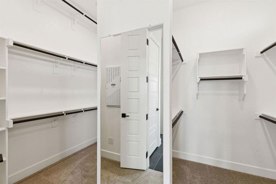 29-121Swan_029 29-121Swan_029