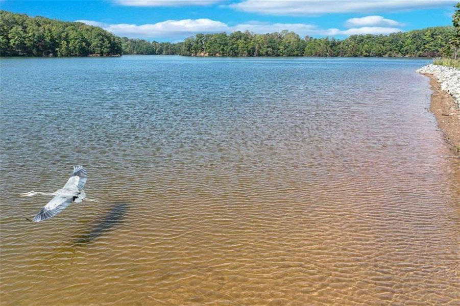 Natural landscape and outdoor views near  in Gainesville (Image 60).