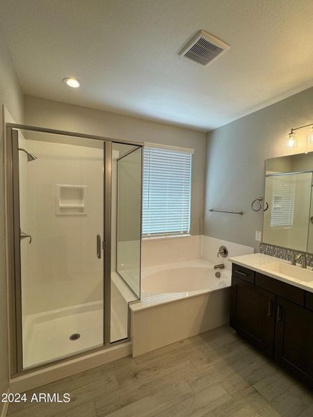 Primary Tub / Shower