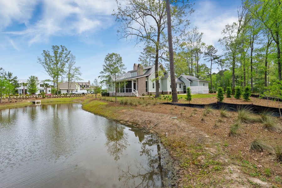 Natural landscape and outdoor views near  in Ravenel (Image 66).