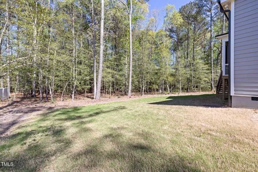 side yard
