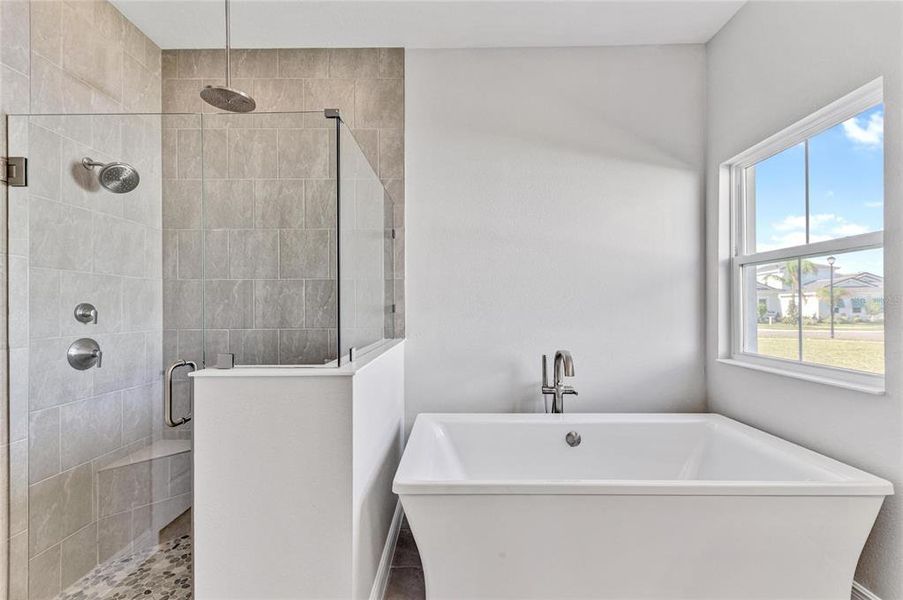 Furnished interior view inside a new home in , Venice (Image 4).