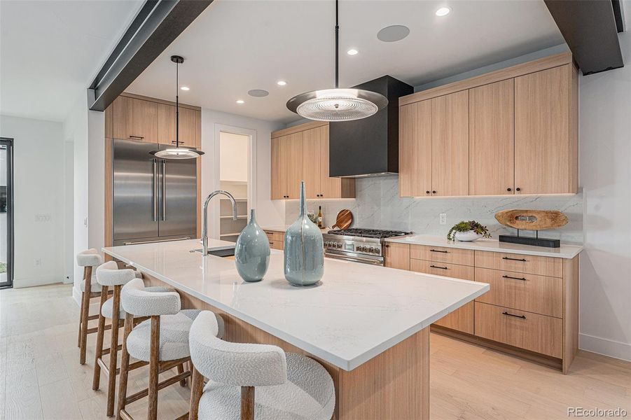 Gorgeous chef's kitchen