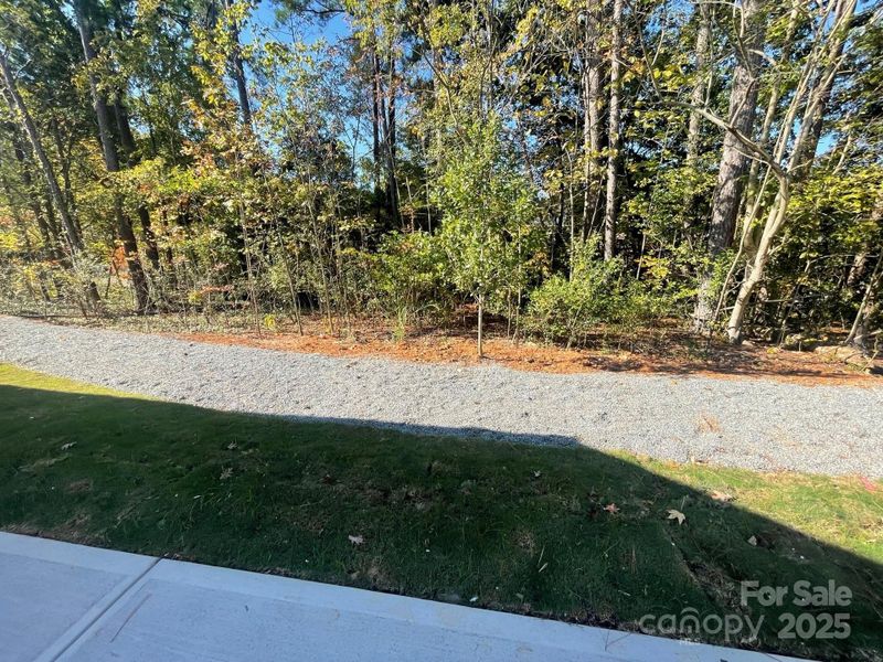 Natural landscape and outdoor views near Arbor Village in Matthews (Image 22).