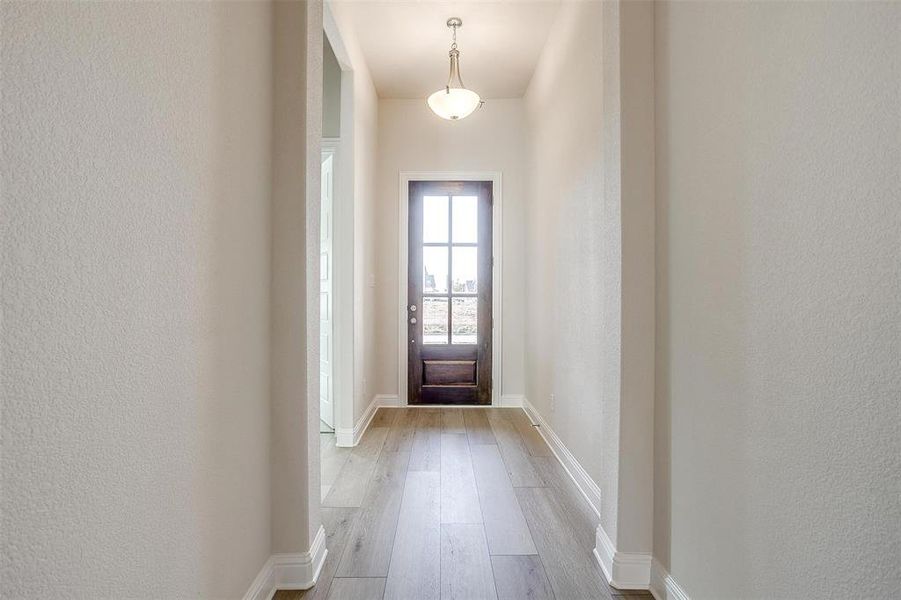 Doorway to outside featuring light hardwood / wood-style flooring