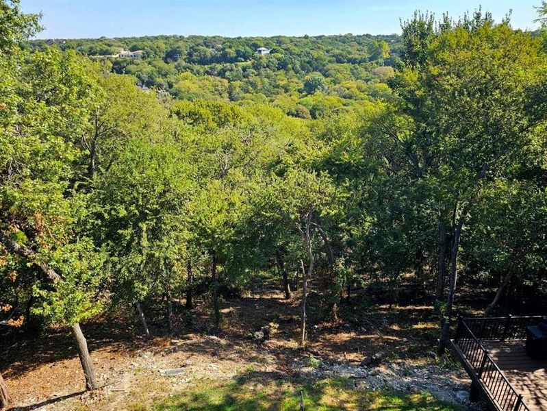 Natural landscape and outdoor views near  in Cedar Hill (Image 35).