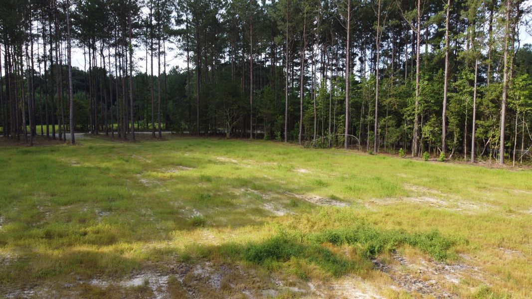 Natural landscape and outdoor views near  in Cross (Image 19).