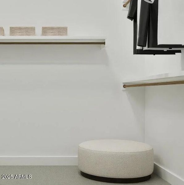 Owners Walk in Closet