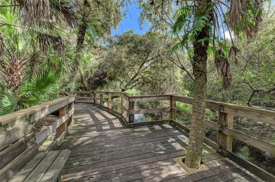 Natural landscape and outdoor views near  in North Port (Image 27).