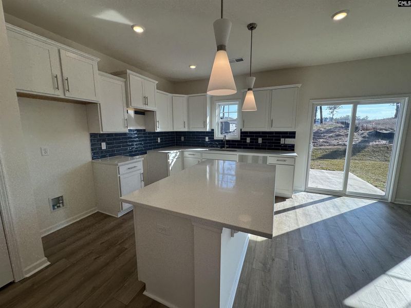 Furnished interior view inside a new home in Boykin Hills, Chapin (Image 3).