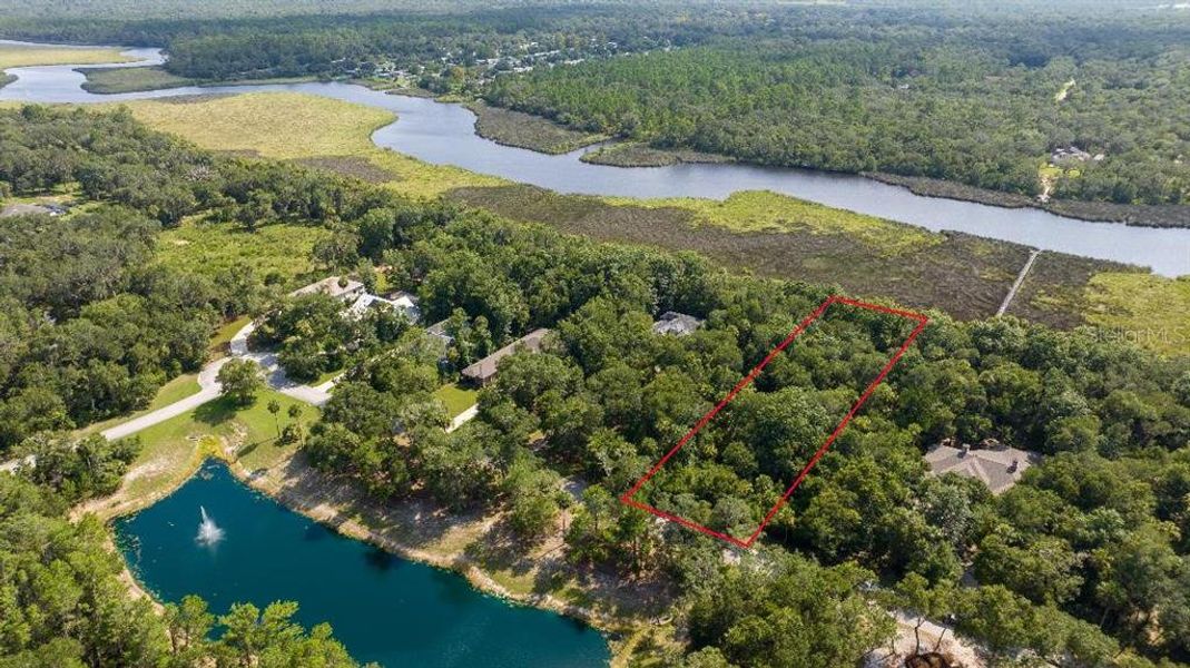 Natural landscape and outdoor views near  in Flagler Beach (Image 32).