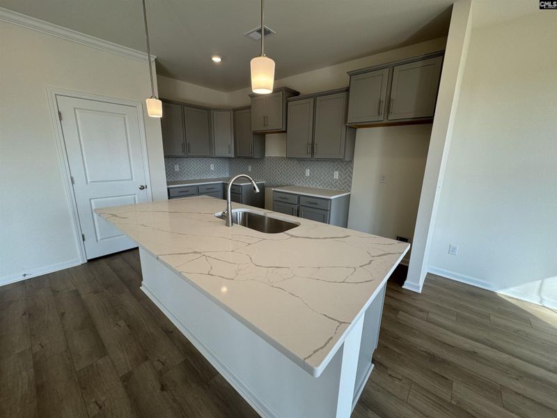 Furnished interior view inside a new home in Boykin Hills, Chapin (Image 3).