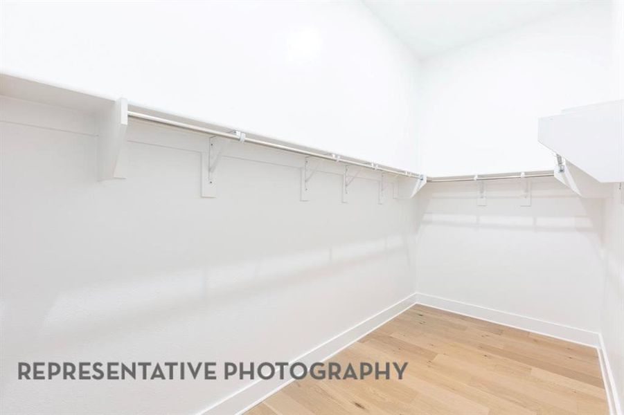 Spacious closet featuring light wood-style floors