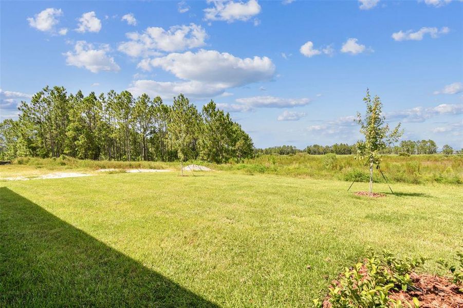 Exterior details and patio area of a home in Tamarack at Two Rivers, Zephyrhills (Image 14). Exterior details and patio area of a home in Tamarack at Two Rivers, Zephyrhills (Image 14).