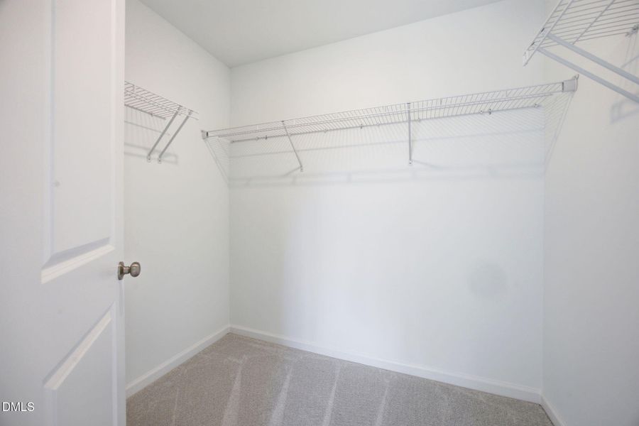 845 Basswood Glen Trail