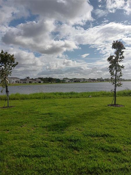 Natural landscape and outdoor views near  in Orlando (Image 30).